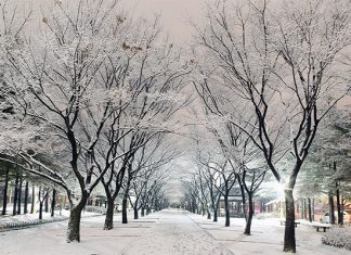 Những trải nghiệm hấp dẫn cho du khách du lịch Hàn Quốc vào mùa đông