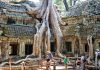 Khám phá đền Ta Prohm Campuchia, ngôi đền bí ẩn với những rễ cây kì dị